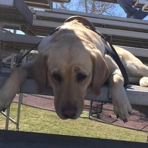 Meet your Posher, Julie